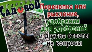 Перекопка или рыхление, удобрения для удобрений и другие ответы на вопросы