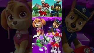 Paw patrol  Paw patrol | Tiles Hop EDM Rush #tileshop #games #funnygaming