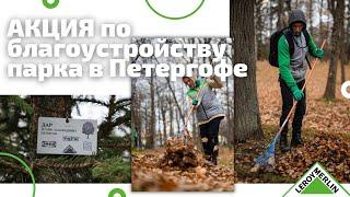 Благотворительная акция по благоустройству нижнего парка Петергофа / Леруа Мерлен Санкт-Петербург