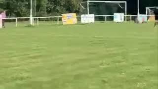 Joel Canning - Goalkeeping Highlights - Bovingdon FC 3-2 Buckingham United  FC 19.09.2020