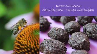 SEED BOMBS quick & easy / SAMENBOMBEN schnell & einfach