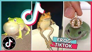 WELCOME TO FROG TIKTOK   TikTok Compilation 2020