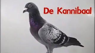 Pigeon 1:De Kannibaal