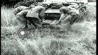 United States military tank M5A1 driven into heavy hedgerow with a Culin hedgerow...HD Stock Footage