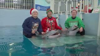 Happy Holidays from Clearwater Marine Aquarium