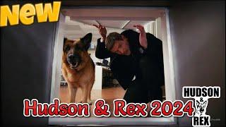 Hudson and Rex New 2024  Nightmare on Water St.  Best American Police Full Episodes