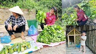 Tien takes care of her children and picks vegetables to sell to save money to pay school fees