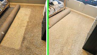 Satisfying carpet cleaning and Bona floor finish/ wax removal! full process Tampa Fl.