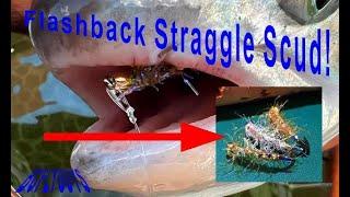 Flashback Straggle Scud Fly Pattern Fly Tying Tutorial