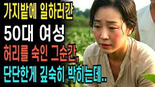 50대 여성  가지밭에서 허리를 숙인 그순간 생각지 못한 다른게  깊숙히 들어오는데 ㅣ황혼연애ㅣ노후사연ㅣ재혼ㅣ오디오북 |사연 |노후준비