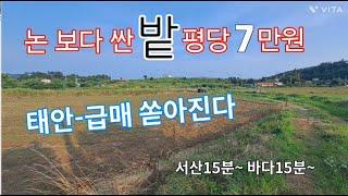 833번)매각완료~태안 급매/농지/ 전(밭)이 7만원 입니다.