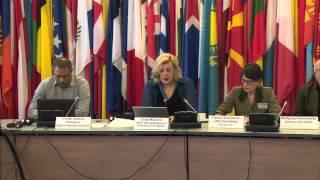 Dunja Mijatovic, OSCE Representative on Freedom of the Media