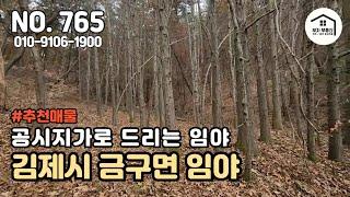 공시지가로 드리는 김제시 금구면 소재의 임야 / 야산 수준의 표고와 경사도[부자부동산 전주점]