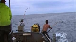 Jason Morris Tuna Fishing 2