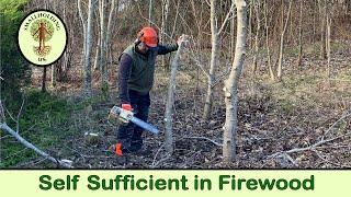 Growing Trees for Firewood | Coppicing | Smallholding UK