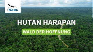 Hutan Harapan - Wald der Hoffnung