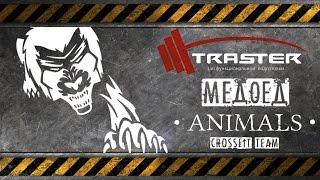 Николай Таймасов / Animals Crossfit Team / Медоед