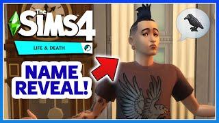 Much To See! Sims 4 Life & Death Gameplay Stream Recap