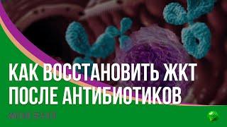 Как восстановить кишечник после приема антибиотиков