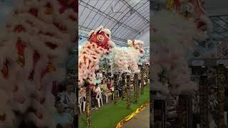 Yi Wei  | Lion dance