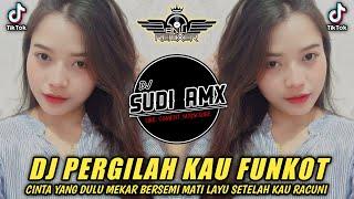 DJ PERGILAH KAU - LARISA FUNKOT TERBARU 2024 | DJ CINTA YANG DULU MEKAR BERSEMI FUNKOT | DJ SUDI RMX