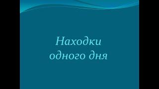 Находки одного дня