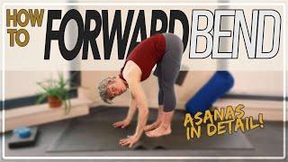 Forward Bend in Detail - Pose, Props, Breathing, Injury Prevention - Asana Labs (Yoga with Heini)