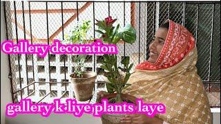 Gallery decoration start || Alishba Amir daily vlog