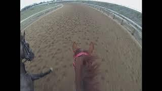 Exercising a Racehorse: Rider's Eye View