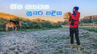 Nuwaraeliya | Snowing in srilanka | Mal thuhina | ඇස් පිං කරන්න ඕනි නුවරඑළියෙ මේ සුන්දරත්වය දකින්න