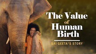 The Value of Human Birth | Sai Geeta's Story