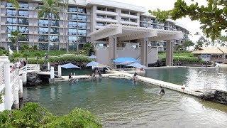 Waikoloa Village, Hawaii - Hilton Waikoloa Village - Full Tour (2018)