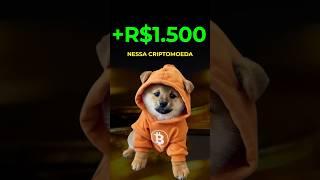 Investi R$1.500 na Dog a melhor meme coin atual! #dog #criptomoedas