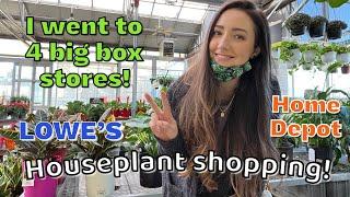 Go PLANT shopping with me at BIG BOX stores! | January 2022