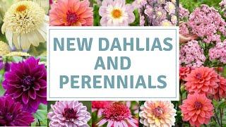 Dahlia And Perennial Haul From Farmer Gracy