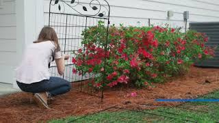 Yardlink Decorative Garden Fence Features