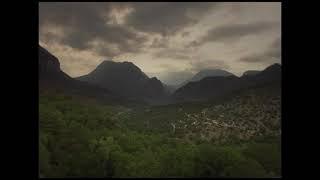 Forest of Hope- Official Trailer
