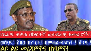 የደፈጣ ጥቃቱ በከፍተኛ ወታደራዊ አመራሮች.!4 November 2024