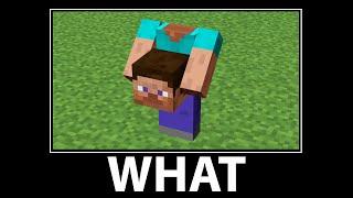 WAIT WHAT - Minecraft #8