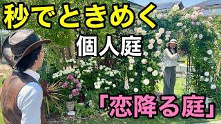 【ため息が止まらない】少しの隙間だけで可愛すぎるは作れます　　　【カーメン君】【個人庭】【めぐさん】【初心者】