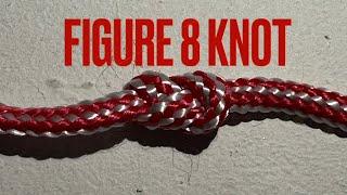 Figure 8 Knot