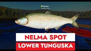 RF4 - RUSSIAN FISHING 4 - NELMA SPOT - LOWER TUNGUSKA