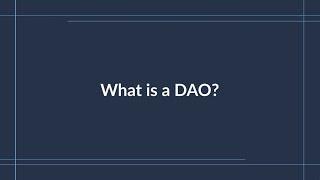 What is a DAO?