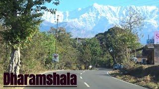 Dharamshala Himachal Pradesh | A Beautiful Journey into the Dhauladhar Himalayas | Heavenly journeys