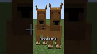마인크래프트 낙타의 비밀