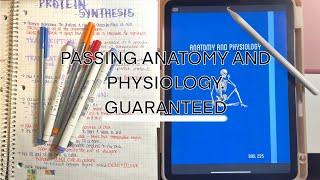 HOW TO GET AN A IN ANATOMY AND PHYSIOLOGY| TIPS & TRICKS