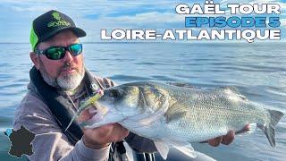 GAËL TOUR: TOPWATER and SOFT LURES with Étienne PICQUEL