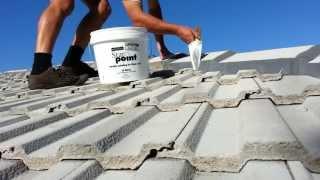 Roof Repoint | Roof Restoration Blacktown