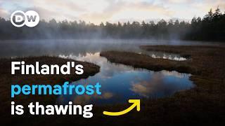 Melting wetlands - How can nature slow down climate change? | DW Documentary