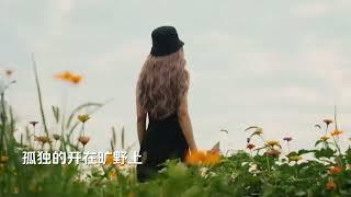 《野菊花》完整版 趙照演唱 你看那山野中，開滿了菊花